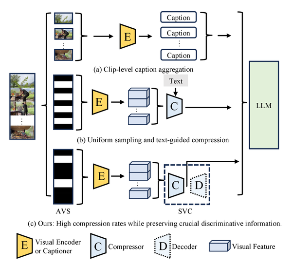 Compact Video Representations