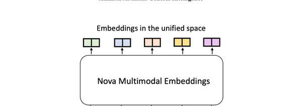 Nova Multimodal Embedding